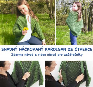 pin-cz.jpeg