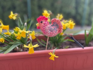 img_5592.jpeg