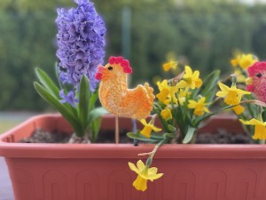 img_5597.jpeg