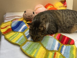 img_5943.jpeg