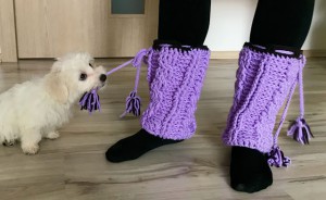 legwarmers9.jpeg